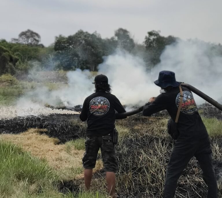 Karhutla Mandikapau Timur Melahap Tiga Hektare Lahan Gambut