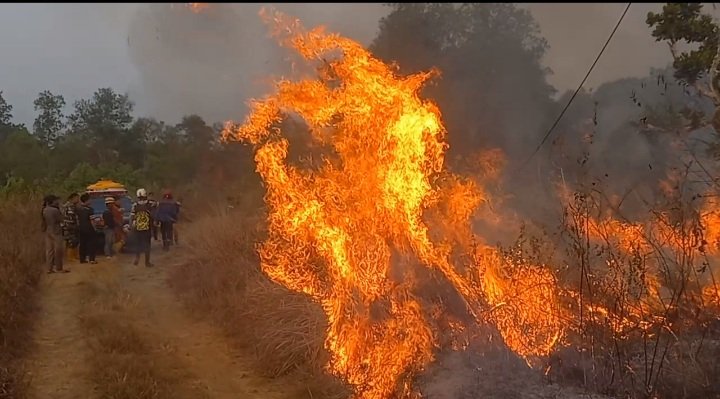 Kabel Listrik Putus, Petugas Tunda Pemadaman Karhutla Cindai Alus